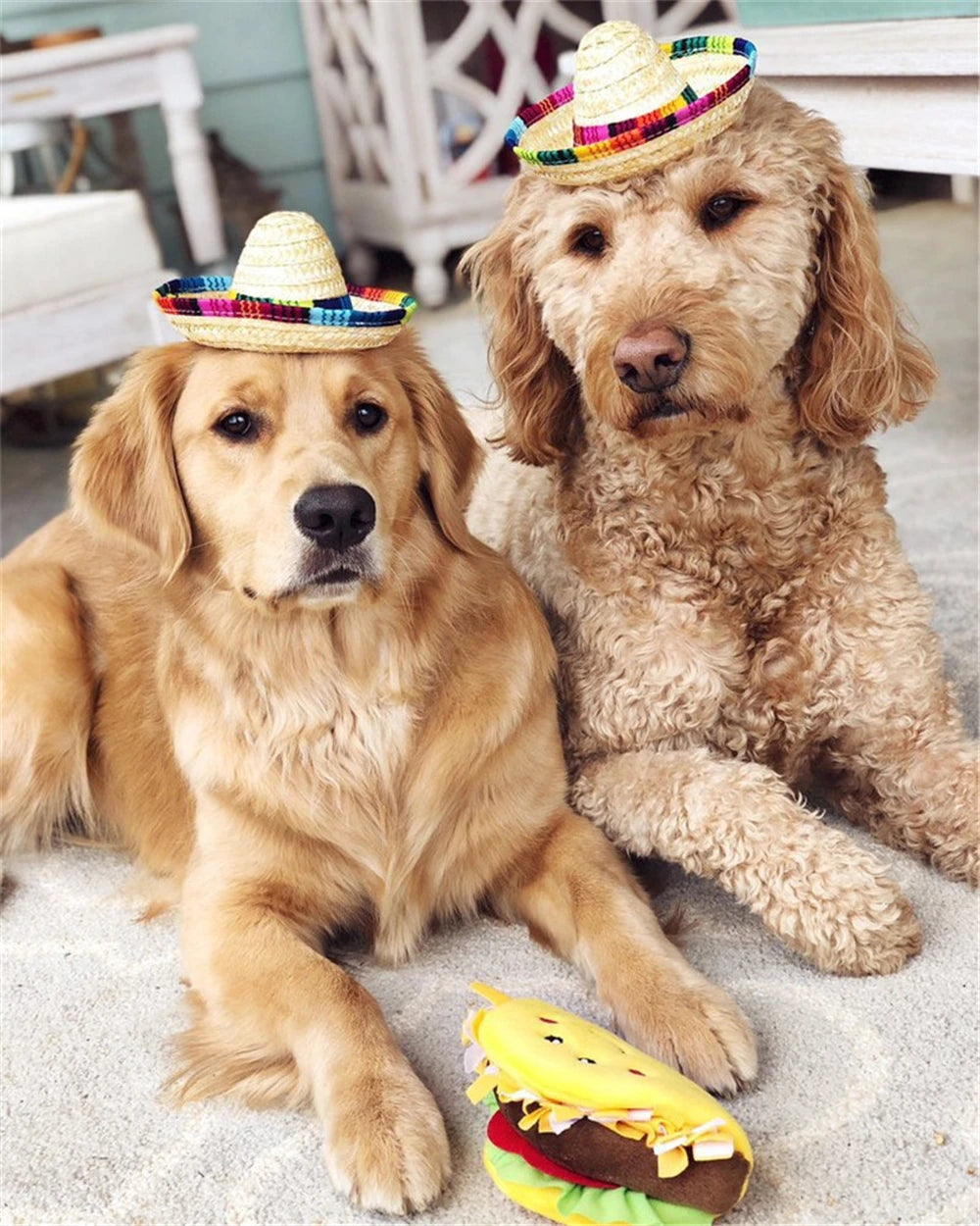 Colorful Mini Pet Dogs Straw Hat Sombrero Cat Sun Hat