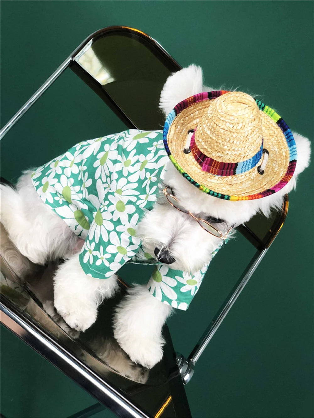 Colorful Mini Pet Dogs Straw Hat Sombrero Cat Sun Hat