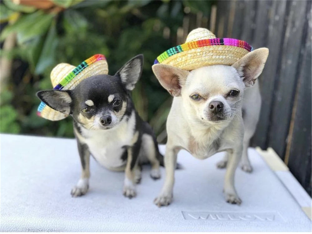Colorful Mini Pet Dogs Straw Hat Sombrero Cat Sun Hat