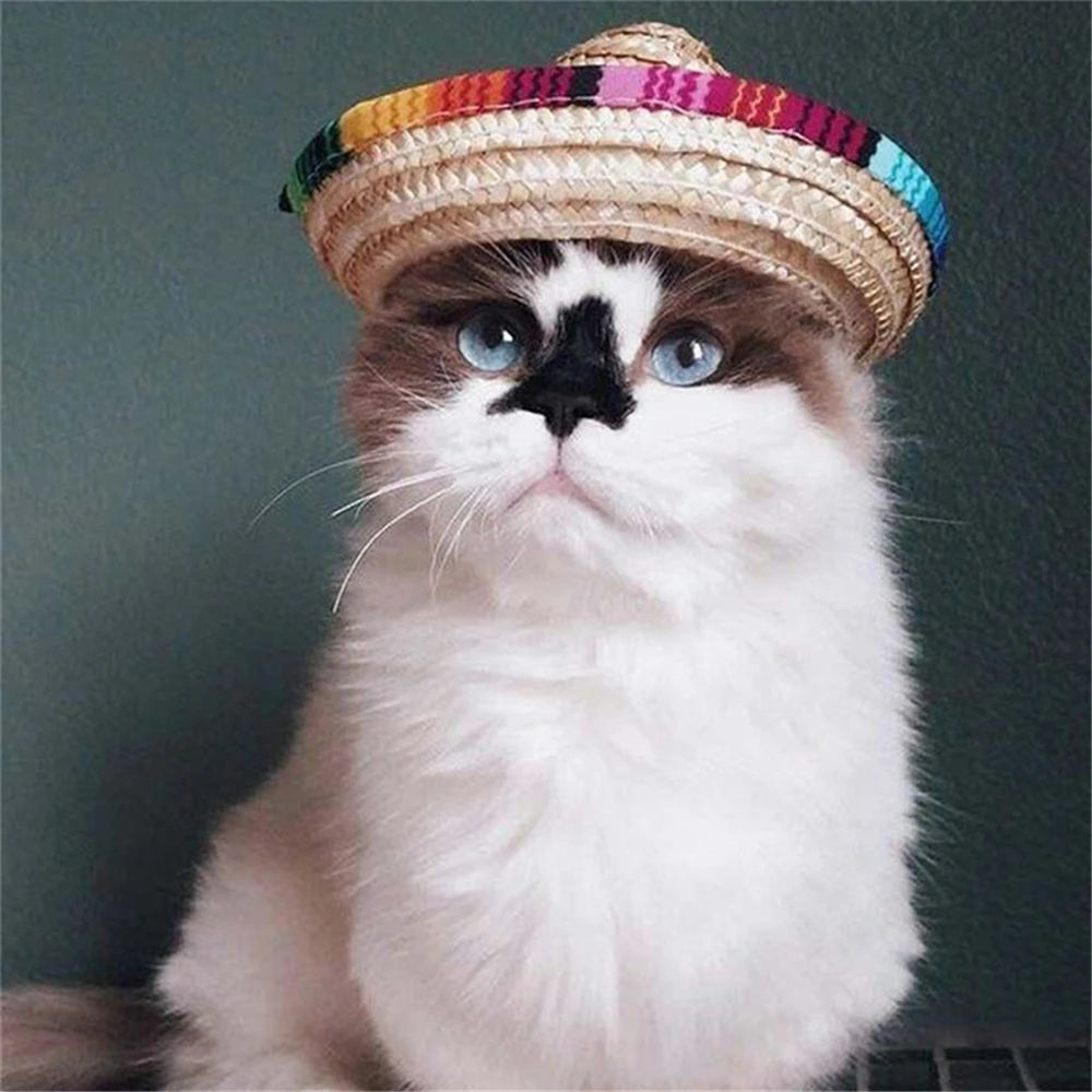 Colorful Mini Pet Dogs Straw Hat Sombrero Cat Sun Hat