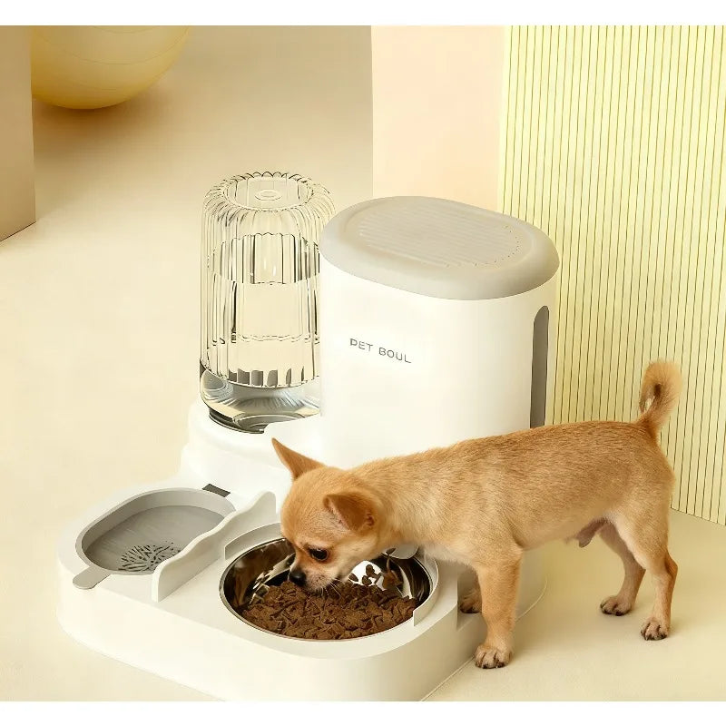 Cat automatic feeder, water dispenser.