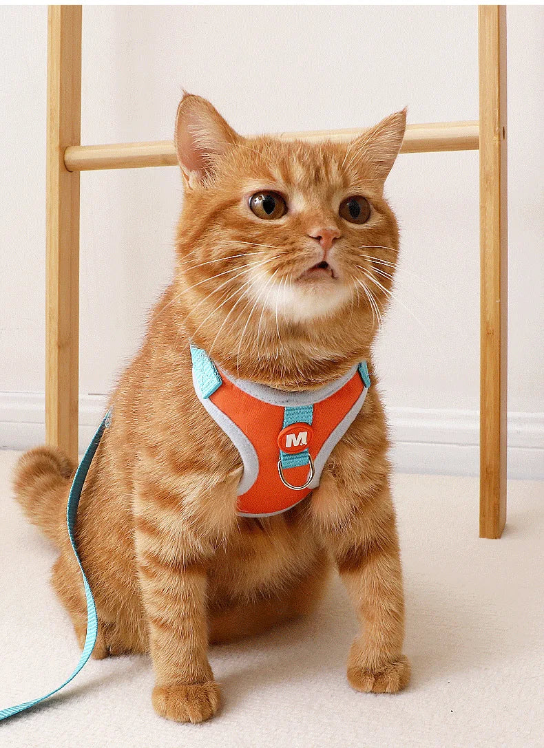 No Pull Cat Harness and Leash Set for Walking Escape Proof