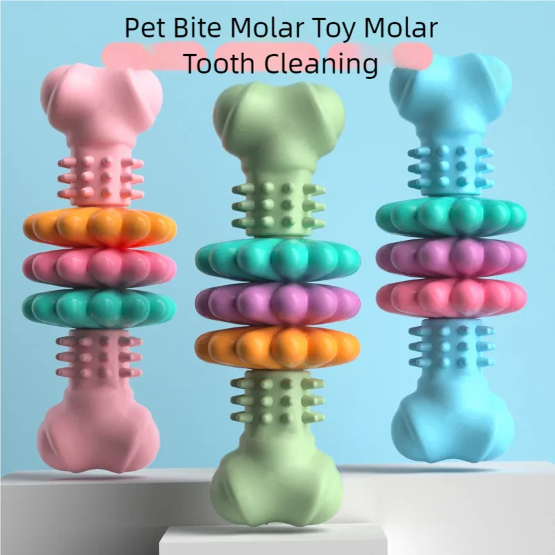 Pet Teething Toy TPR Bone Meaty Dog Toy
