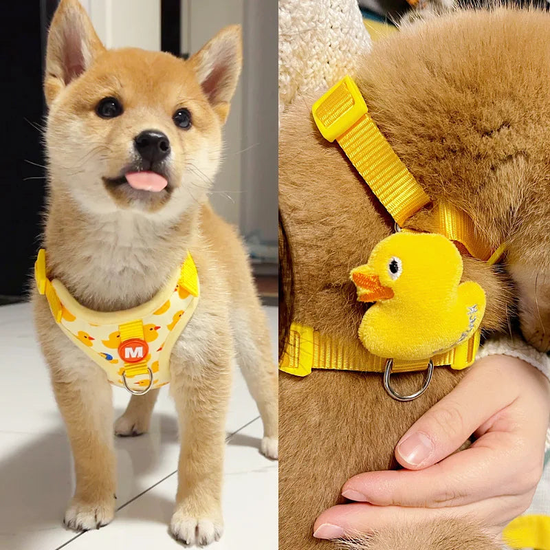 No Pull Cat Harness and Leash Set for Walking Escape Proof