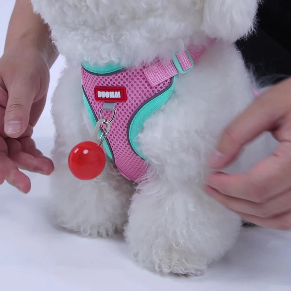 New Chic Cat Harness and Leash Set  Adjustable Soft