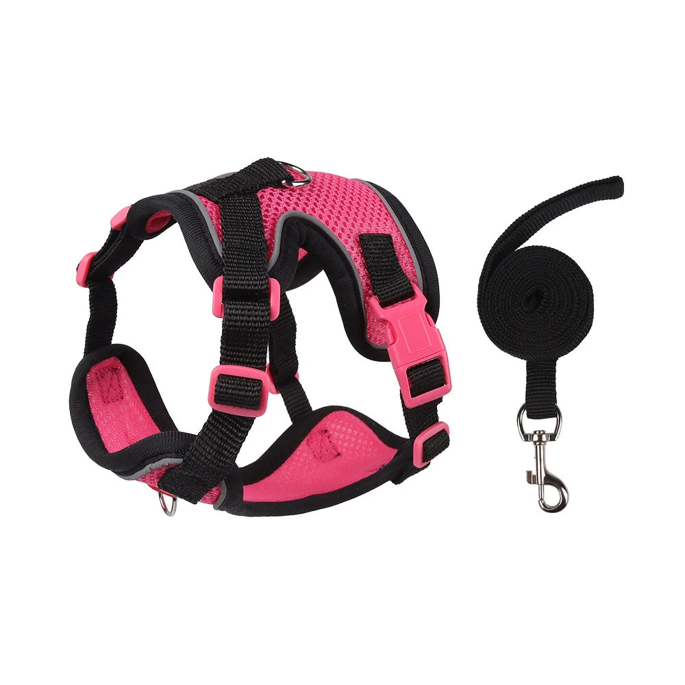New Chic Cat Harness and Leash Set  Adjustable Soft