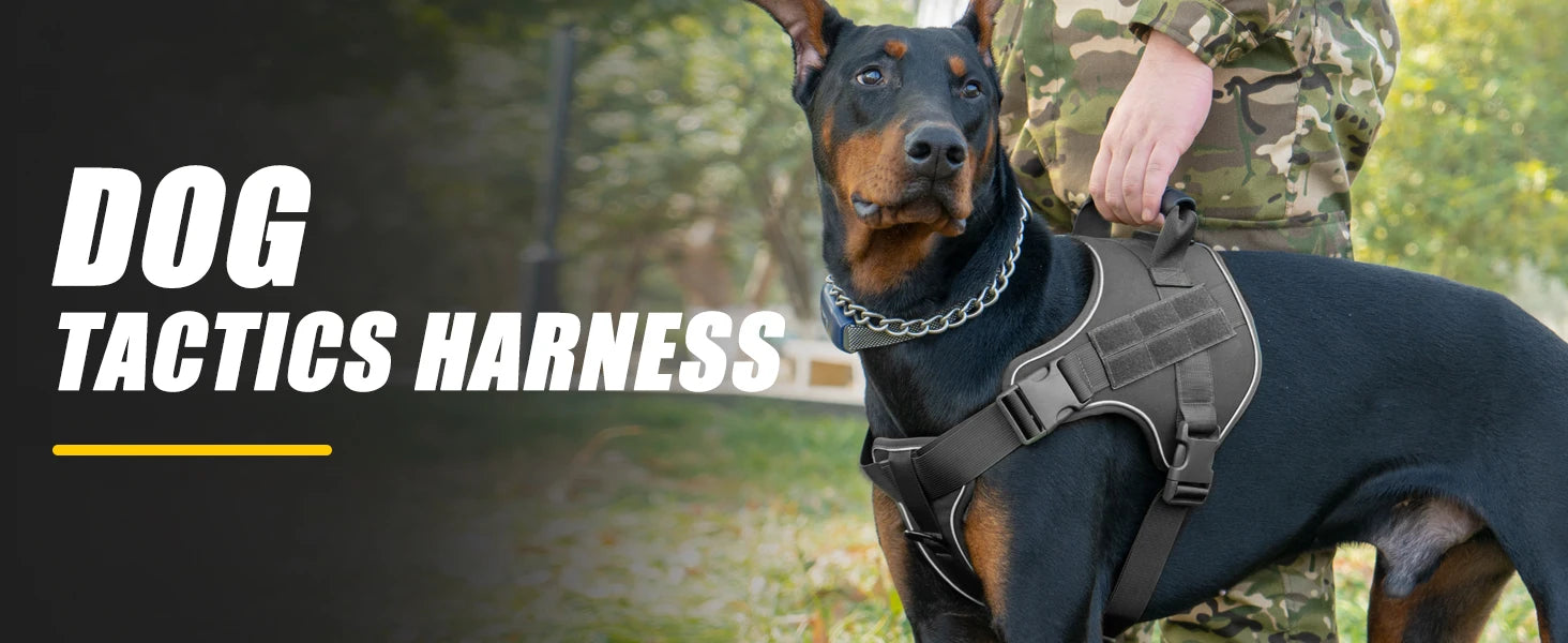 Tactical Dog Harness Pet Doberman Pinscher Pet Training