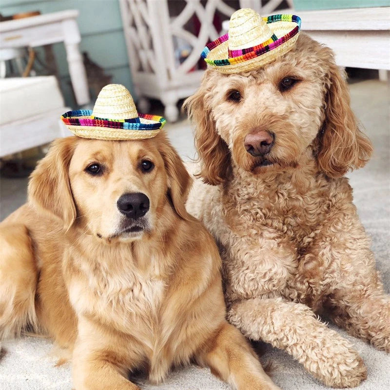 Colorful Mini Pet Dogs Straw Hat Sombrero Cat Sun Hat