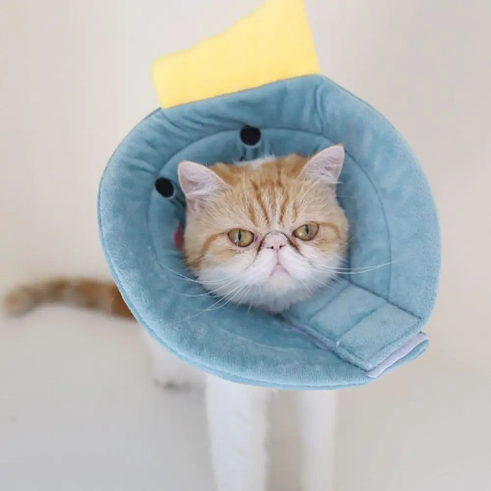 Cotton Bee Shape Cat Recovery Collar Anti-licking