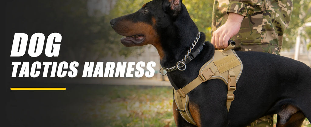 Tactical Dog Harness Pet Doberman Pinscher Pet Training