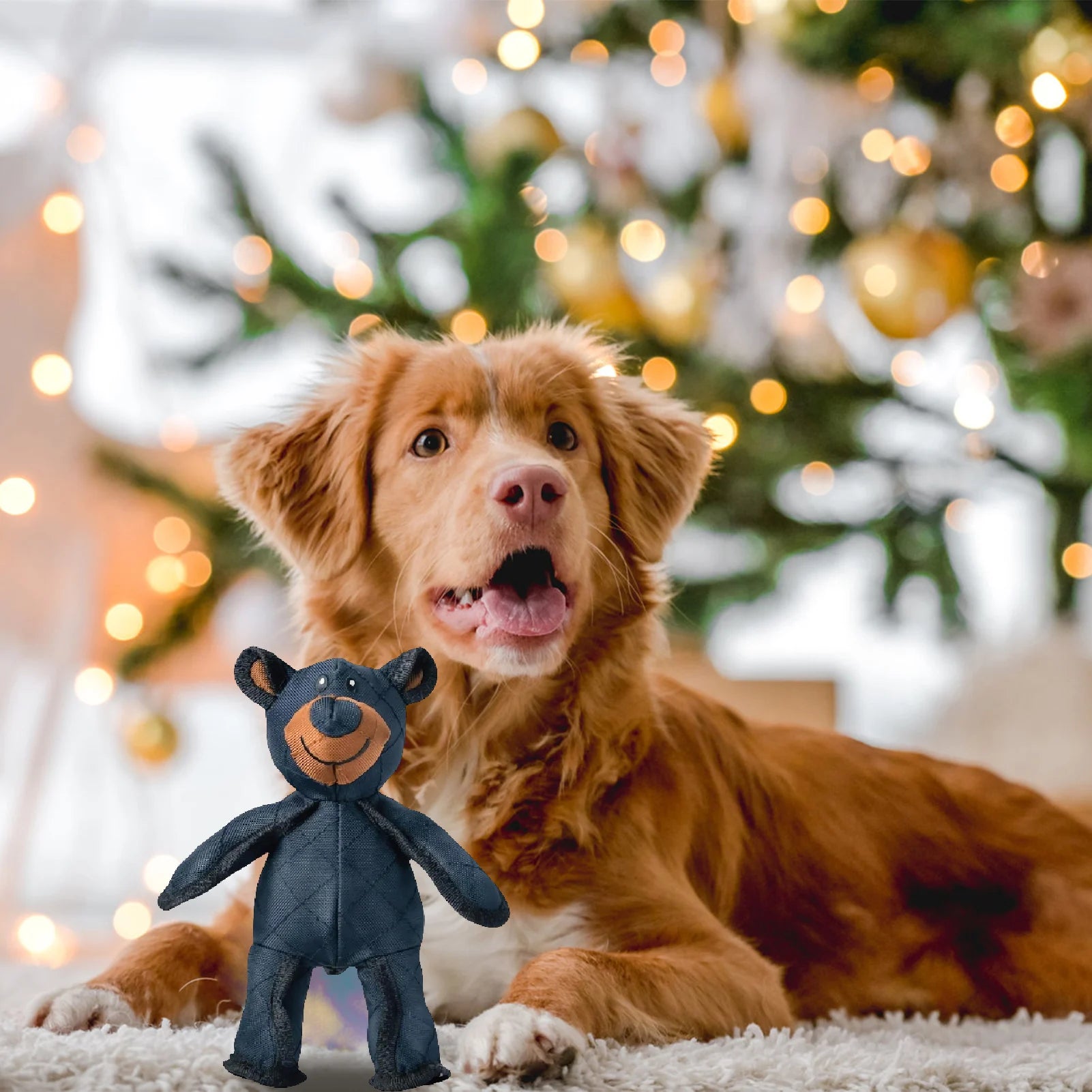 Dog Teething Training  Mighty Bear Pet Toys Durable