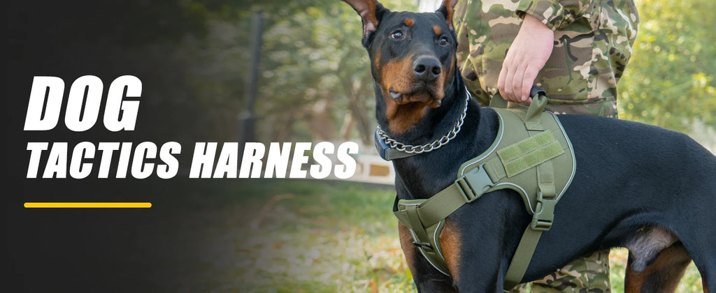 Tactical Dog Harness Pet Doberman Pinscher Pet Training