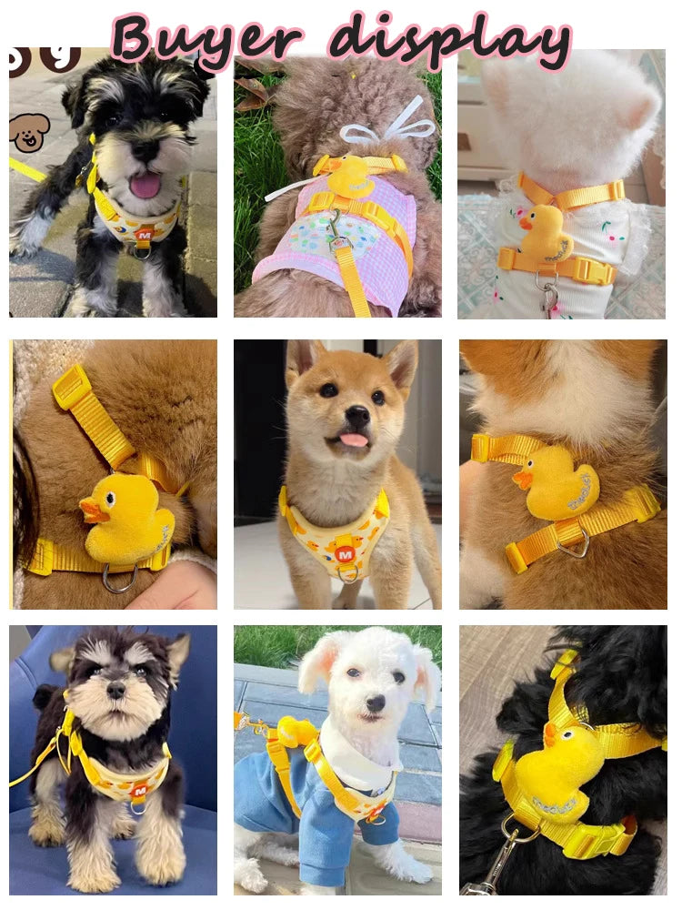 No Pull Cat Harness and Leash Set for Walking Escape Proof