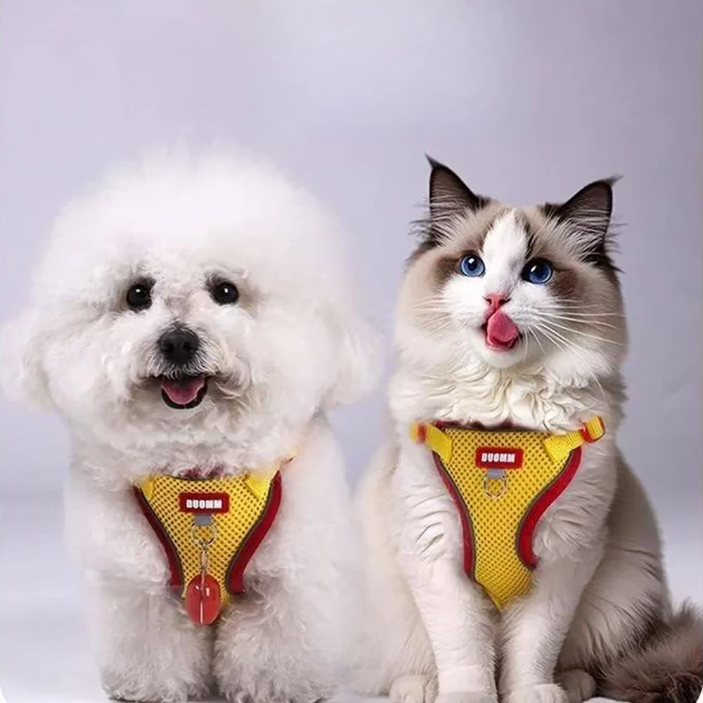 New Chic Cat Harness and Leash Set  Adjustable Soft