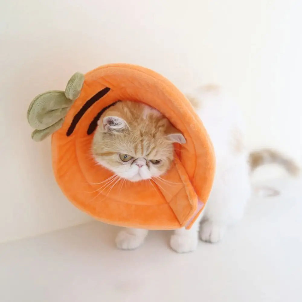 Cotton Bee Shape Cat Recovery Collar Anti-licking