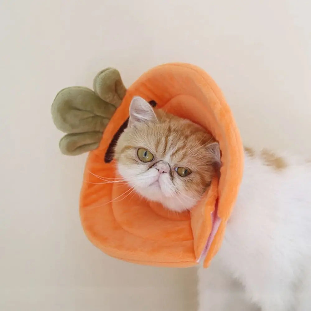 Cotton Bee Shape Cat Recovery Collar Anti-licking